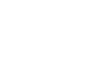 The Italian Drawings.